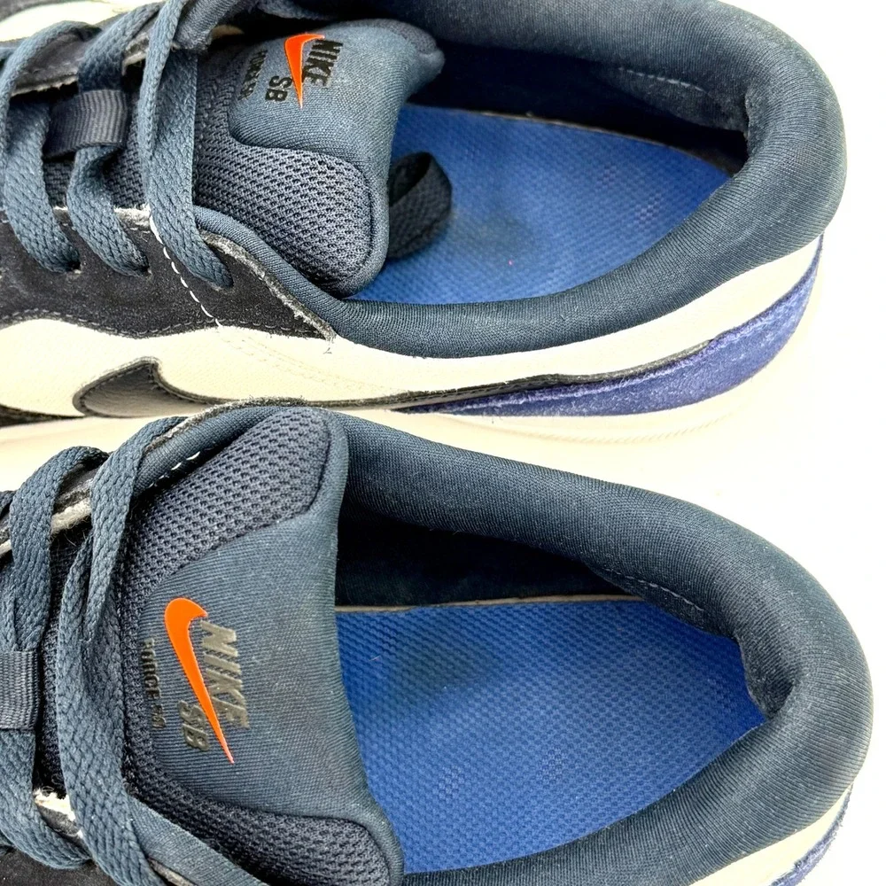 Nike sb force